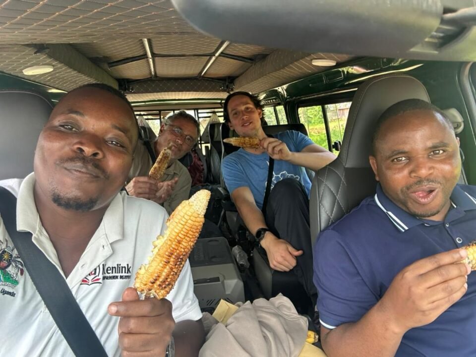 group-uganda-gorilla-safaris-starting-from-kigali