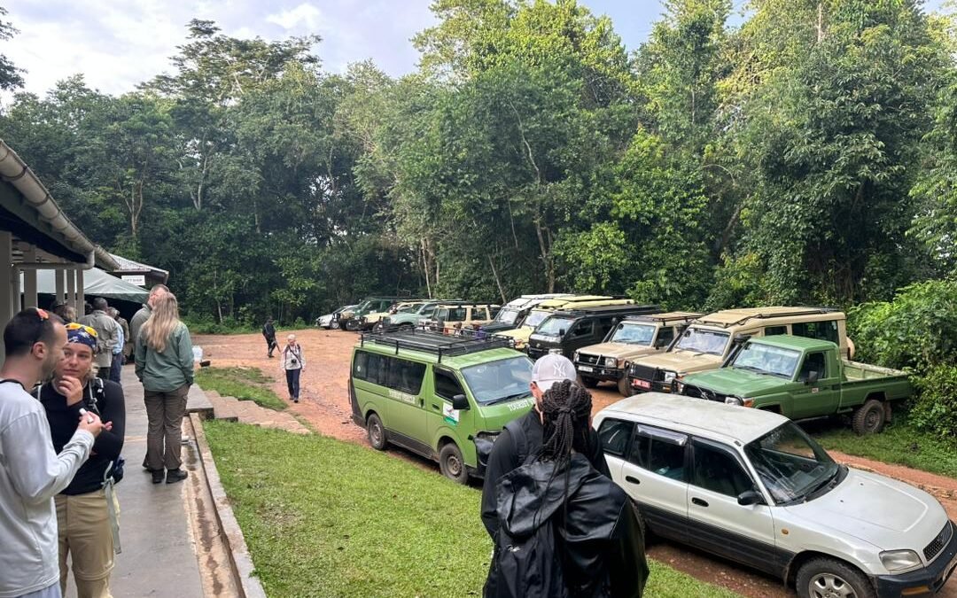 gorilla-tracking-briefing-in-bwindi