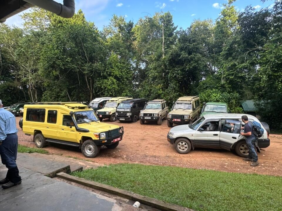 kigali-to-rushaga-gorilla-trek