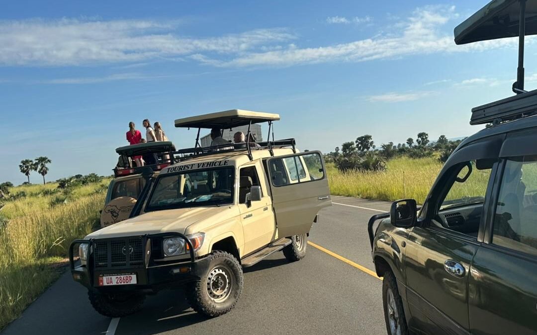 what-can-i-see-in-murchison-falls
