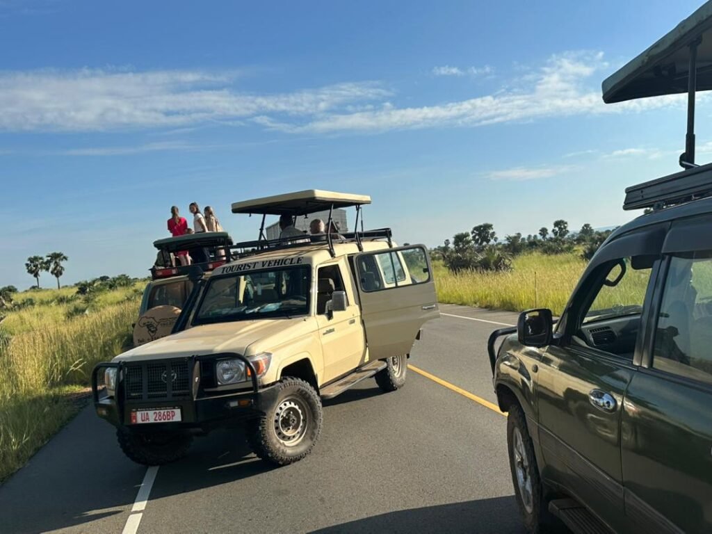 Uganda Gorilla Trekking Starting from Kigali