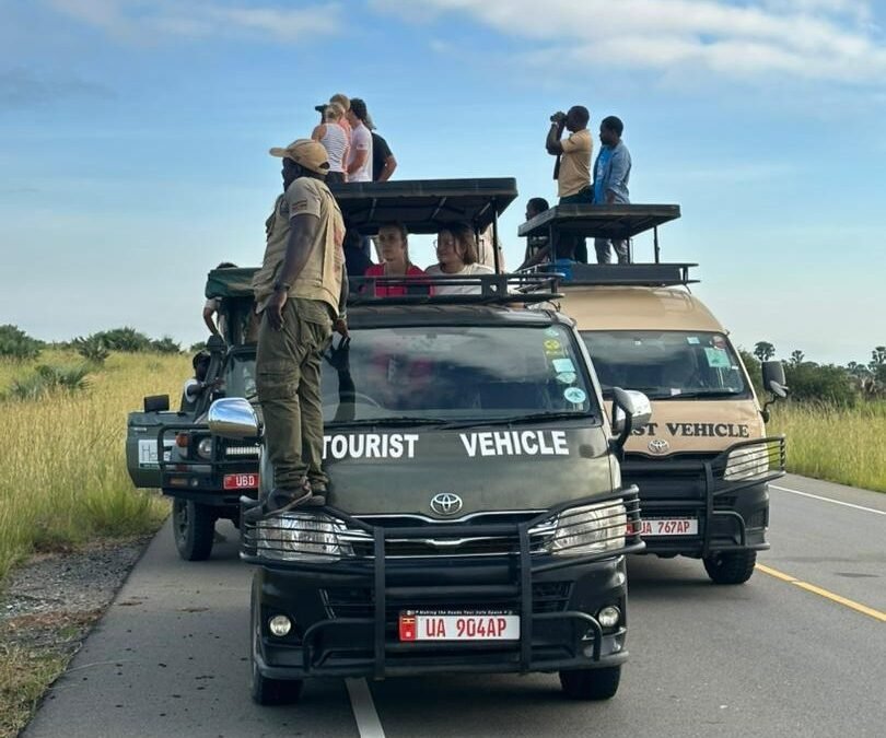 combining-akagera-and-bwindi-national-parks-for-safari