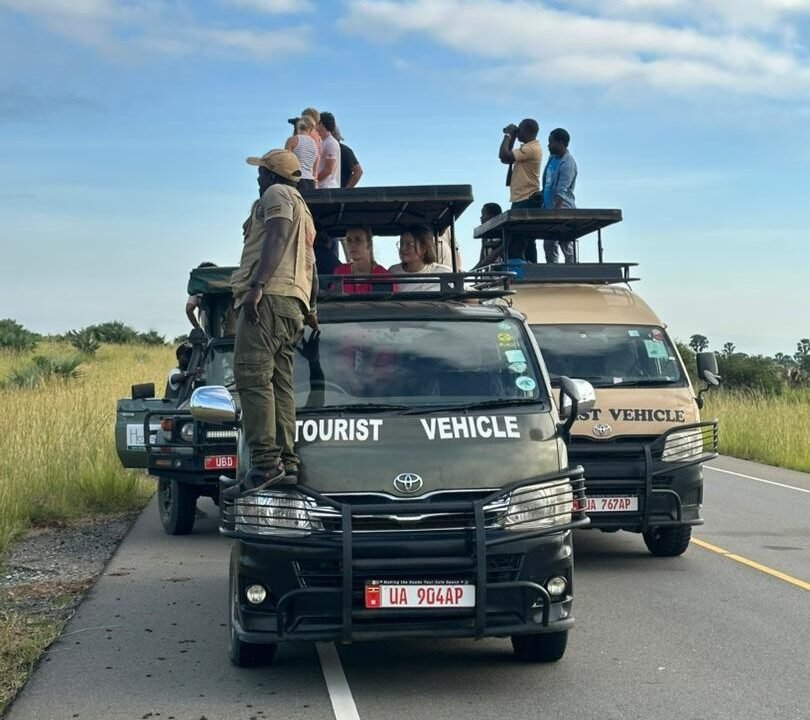 combining-akagera-and-bwindi-national-parks-for-safari