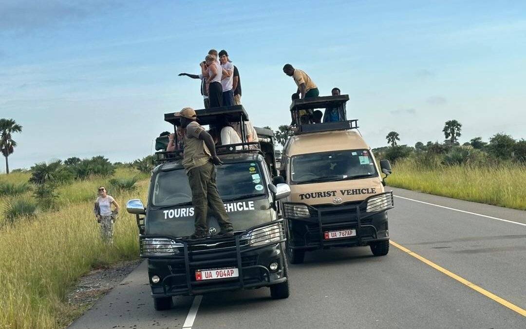 game-drive-in-murchison-falls-national-park