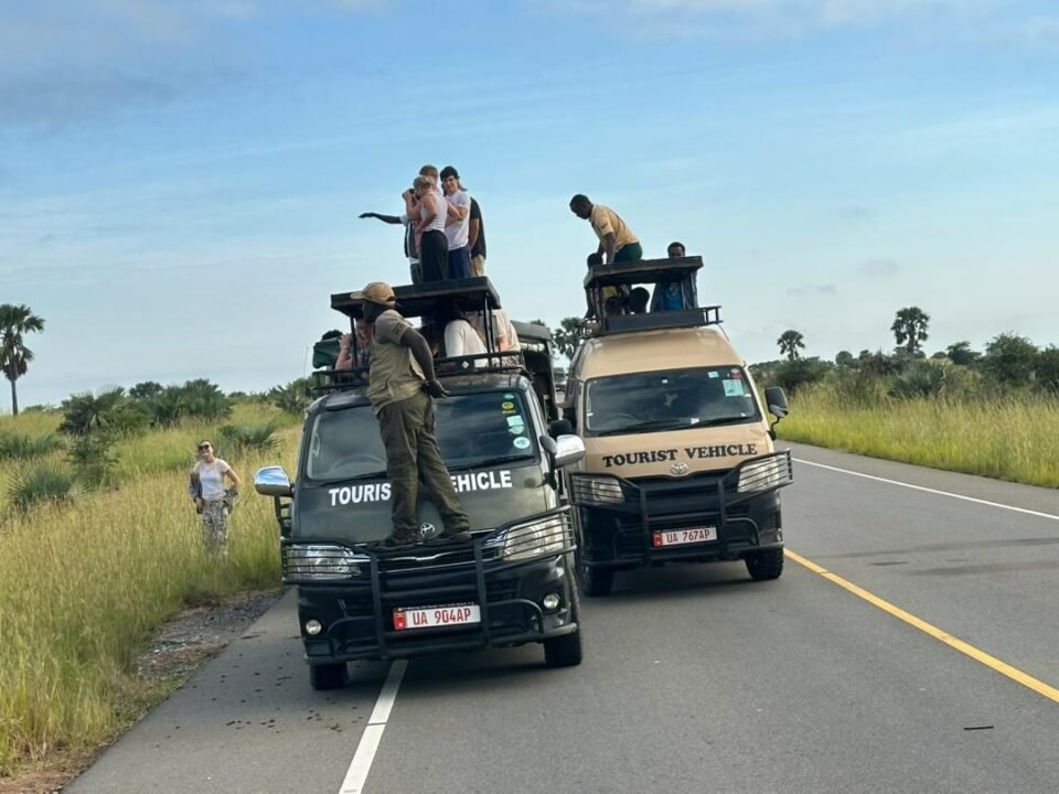 game-drive-in-murchison-falls-national-park