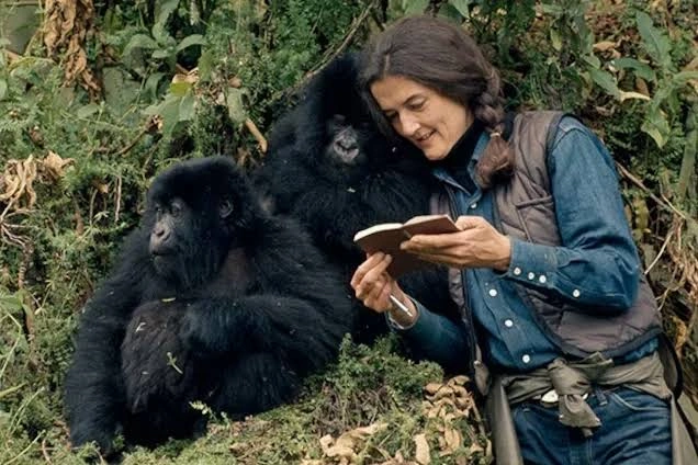 private-1-day-gorilla-trekking-experience