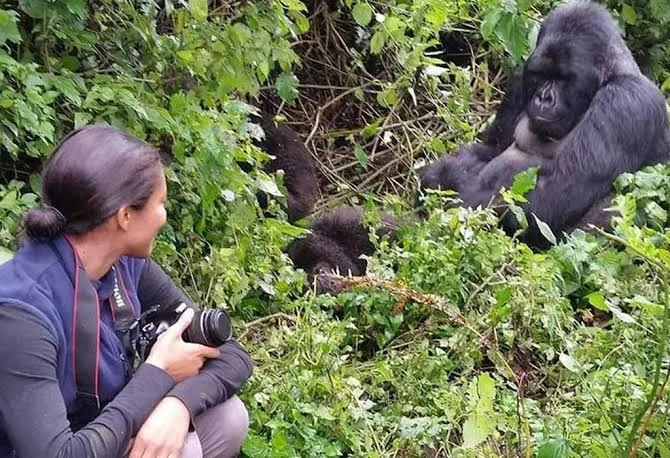 short-gorilla-safaris-in-uganda-starting-from-kigali
