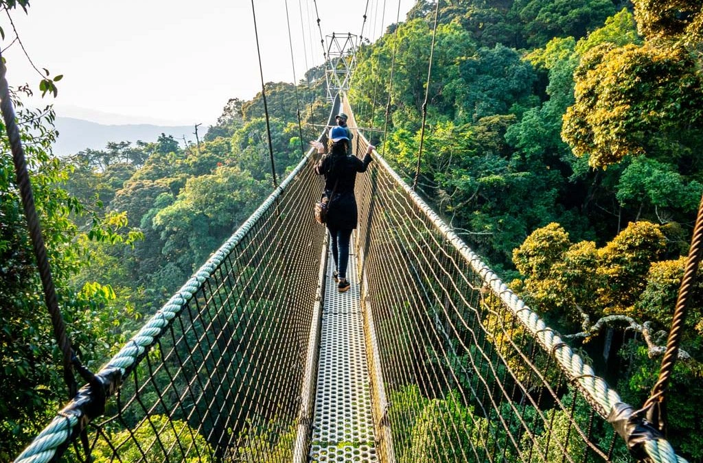 What to do after gorilla tour in Bwindi