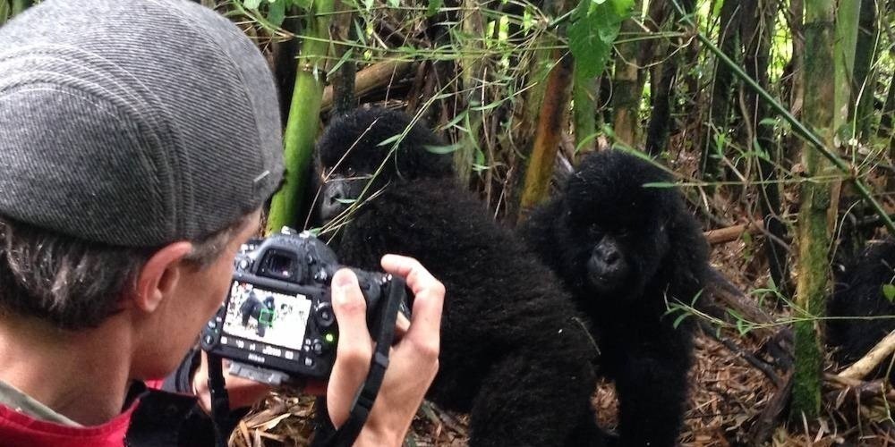 Uganda Gorilla Trekking Safaris from Kigali