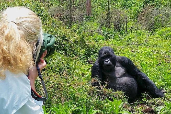 Kigali to Rushaga for gorilla trek