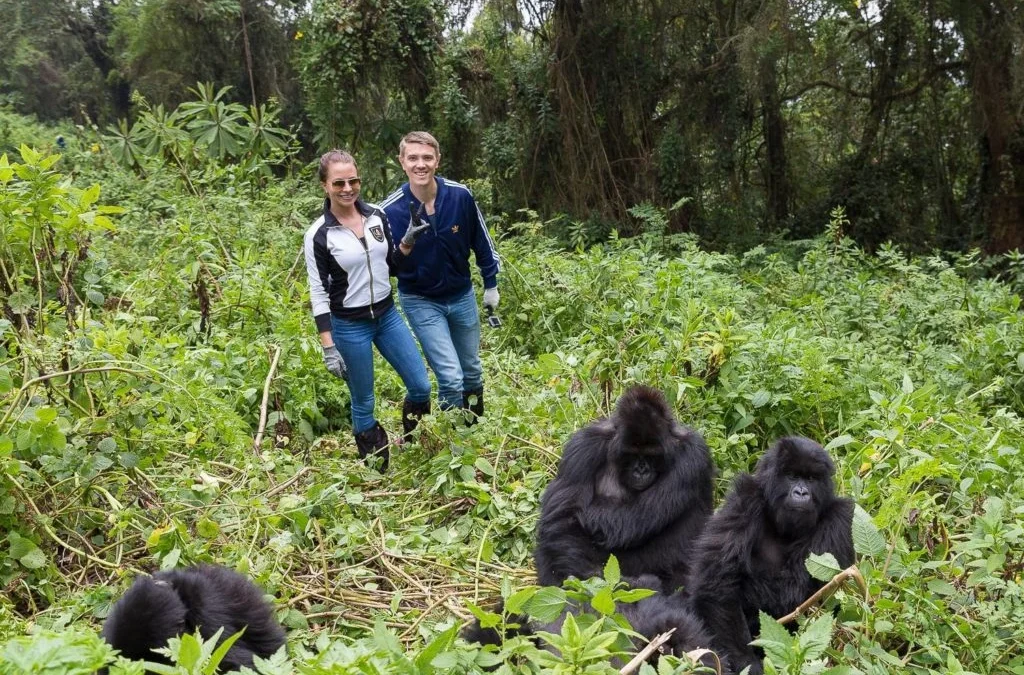 how-to-book-gorilla-trekking-in-rwanda