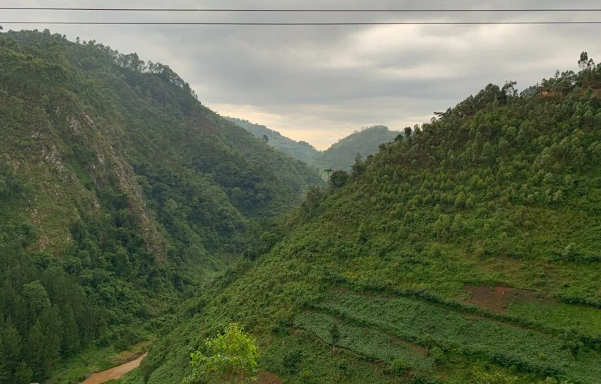 Kigali to Rushaga for gorilla trek