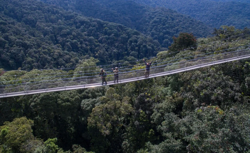 What to do after gorilla tour in Bwindi