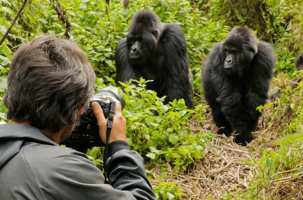 solo-travel-rwanda-safari