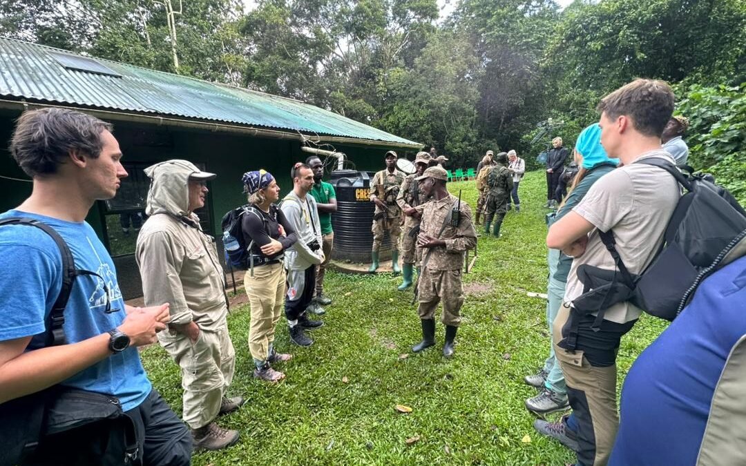 Starting a gorilla safari in Uganda from Rwanda