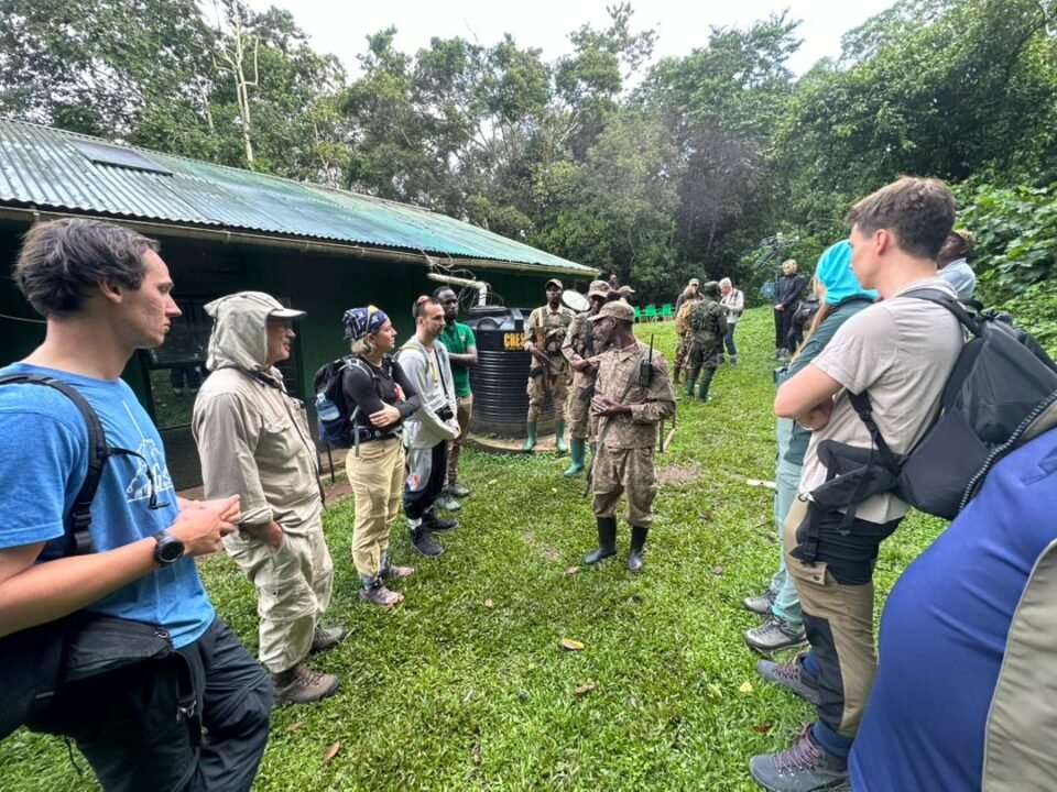 Starting a gorilla safari in Uganda from Rwanda