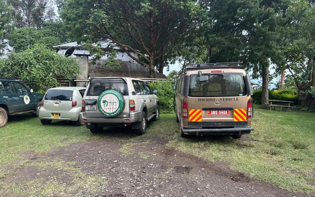 uganda-gorilla-trek-vs-rwanda-gorilla-trek