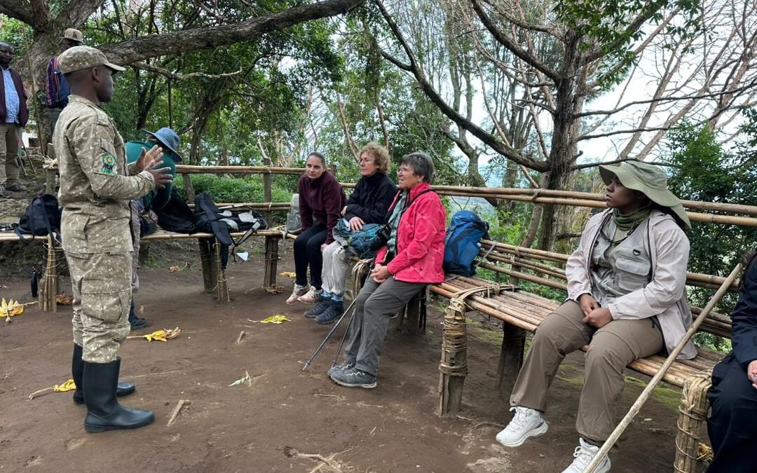 gorilla-trek-in-mgahinga-or-bwindi