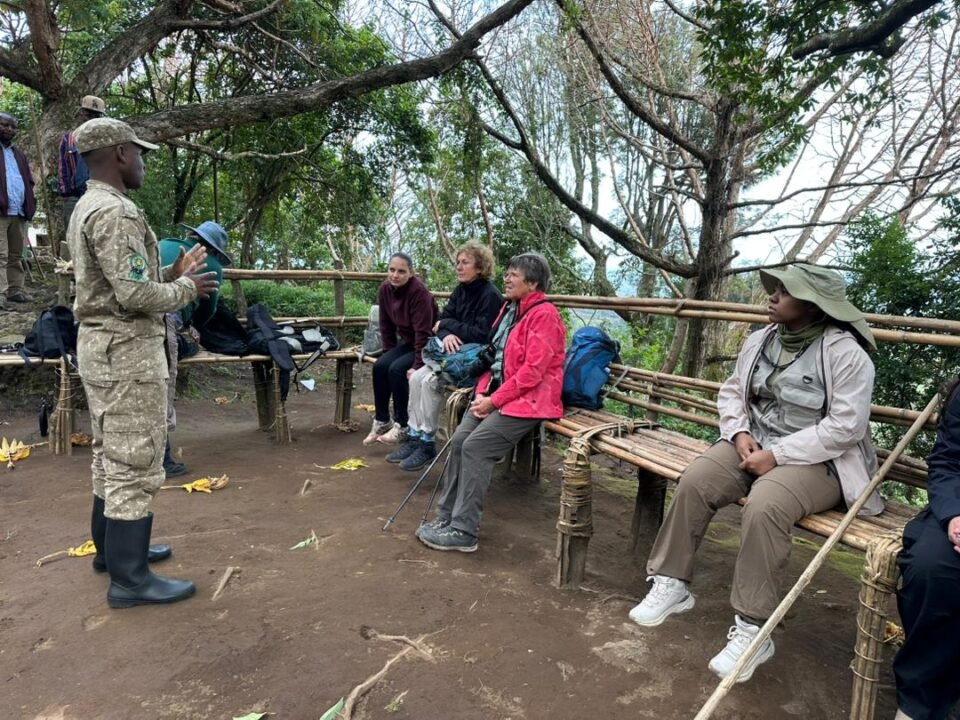 gorilla-trek-in-mgahinga-or-bwindi