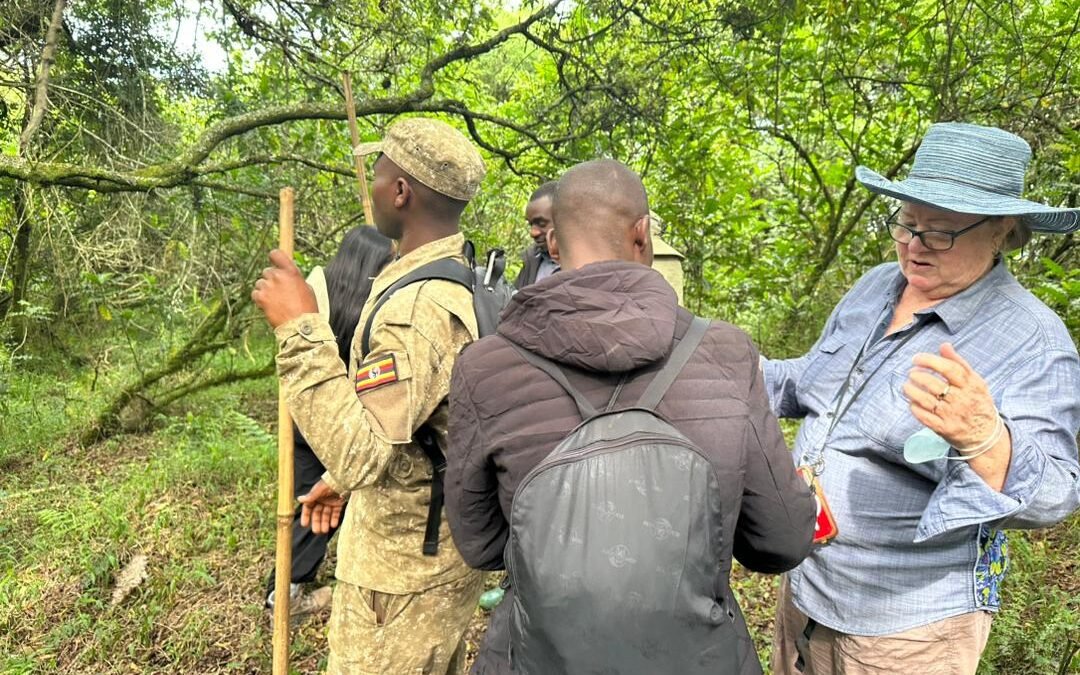 Can book a Uganda Gorilla Safari Now