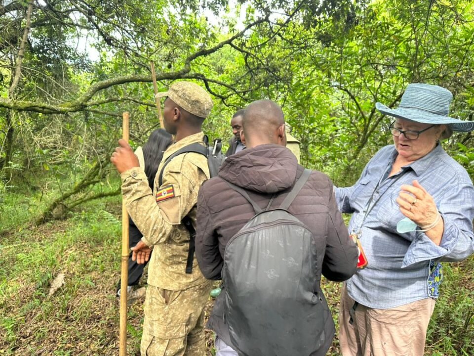 Can book a Uganda Gorilla Safari Now
