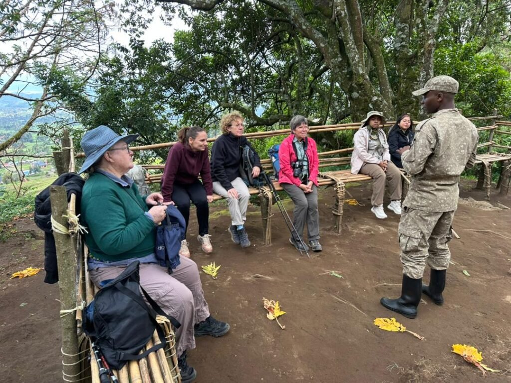 How to plan a Gorilla trekking safari from Kigali