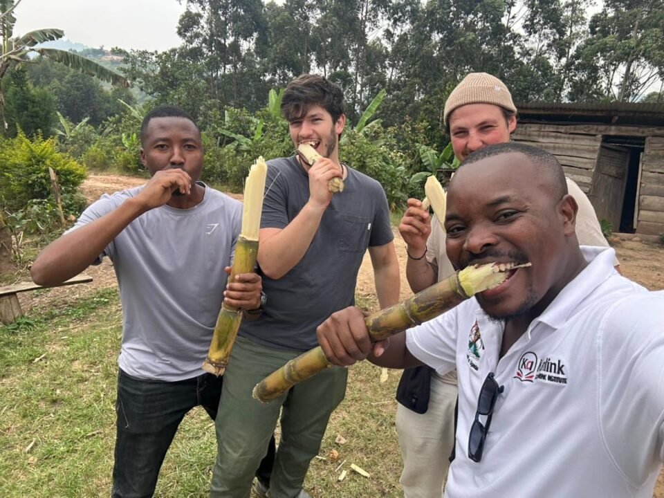 5-days-uganda-safari-from-rwanda