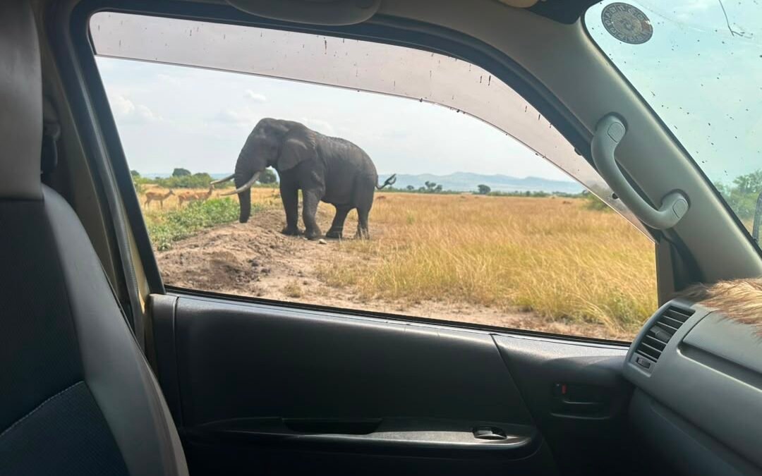 Uganda Tours Beginning from Kigali 
