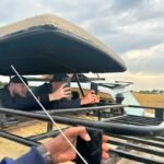 best-time-to-do-a-game-drive-in-queen-elizabeth