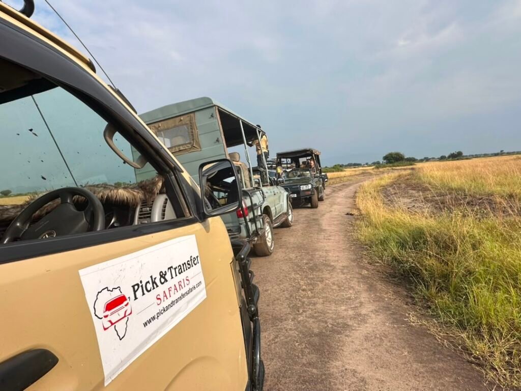 Starting a gorilla safari in Uganda from Rwanda