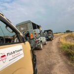 how-long-i-need-to-visit-queen-elizabeth-and-bwindi-national-parks