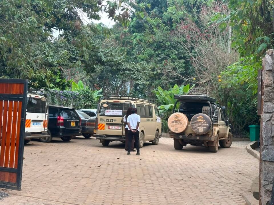 How to plan a Gorilla trekking safari from Kigali