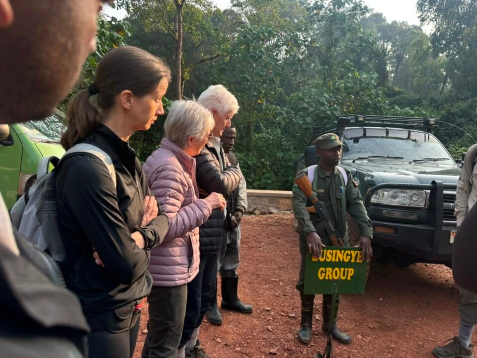 Two days gorilla tour in Uganda