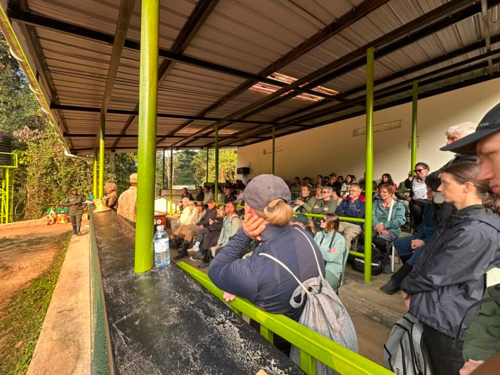 How to plan a Gorilla trekking safari from Kigali