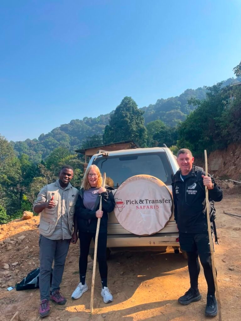 One Day Bwindi Gorilla Trek Starting from Kigali