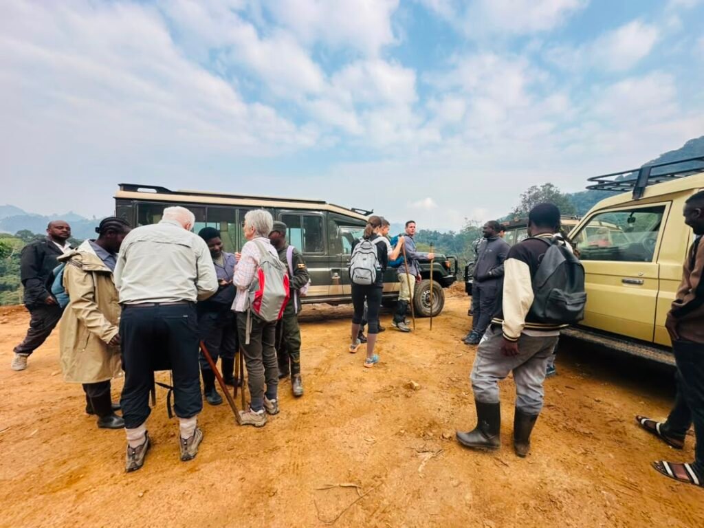 Trek gorillas and drive back to Kigali one day