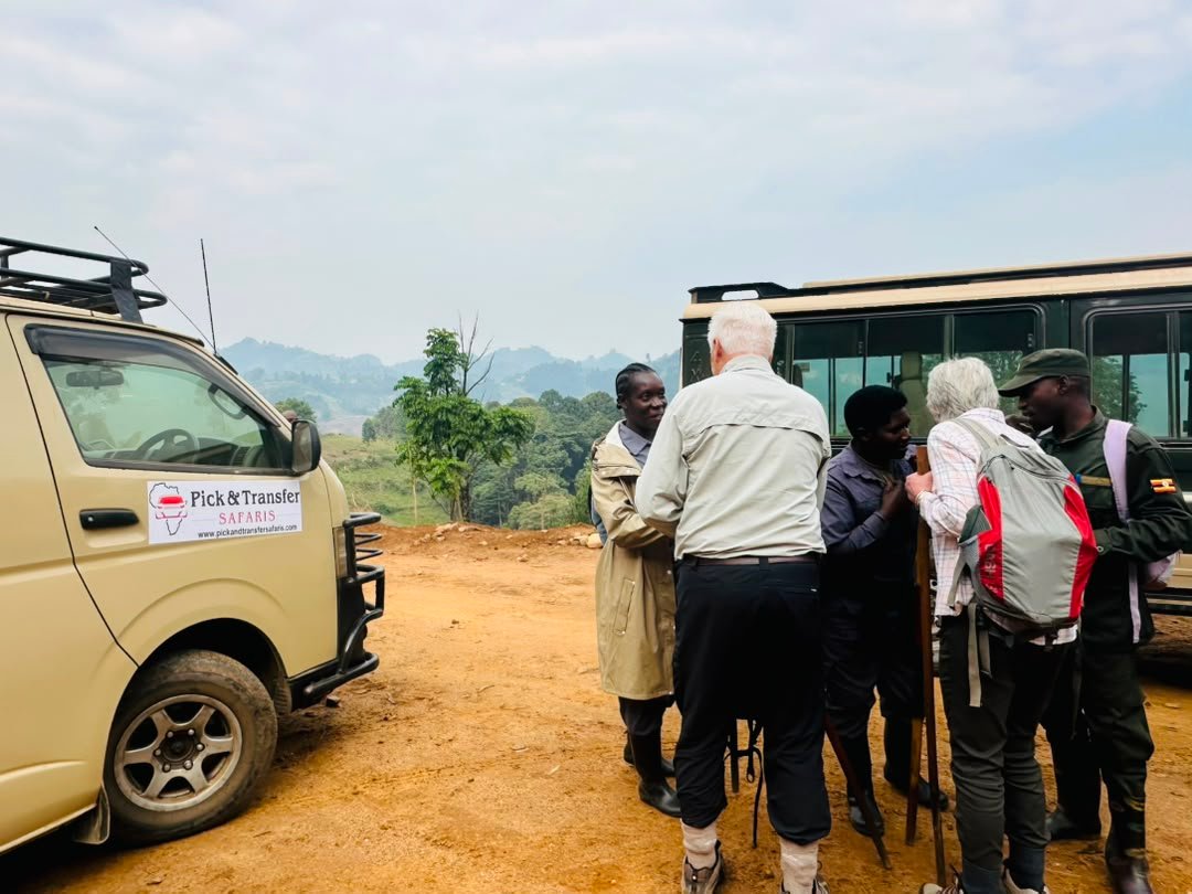 Best sector for gorilla trek in bwindi