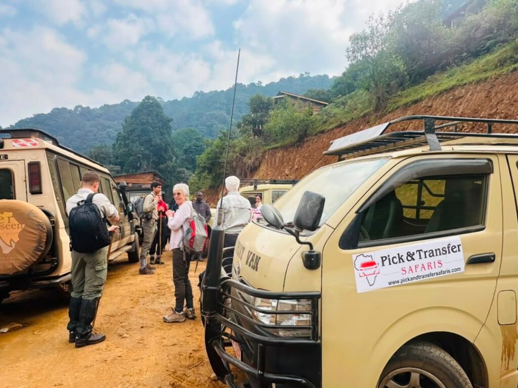 Trek gorillas and drive back to Kigali one day