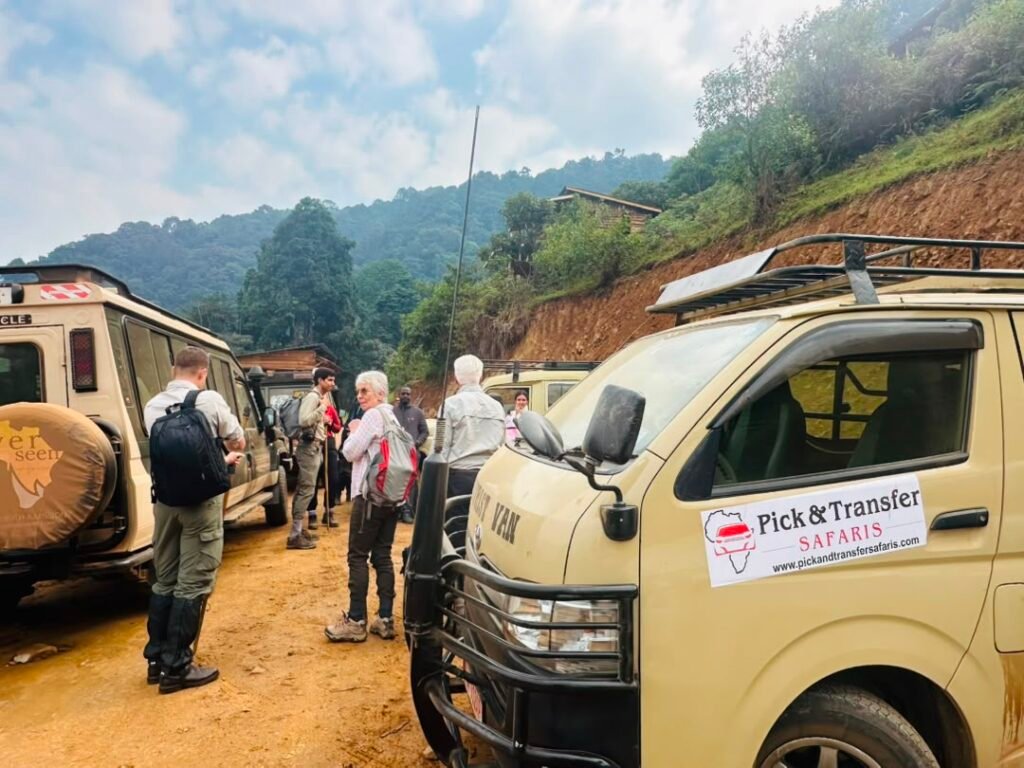 One Day Bwindi Gorilla Trek Starting from Kigali