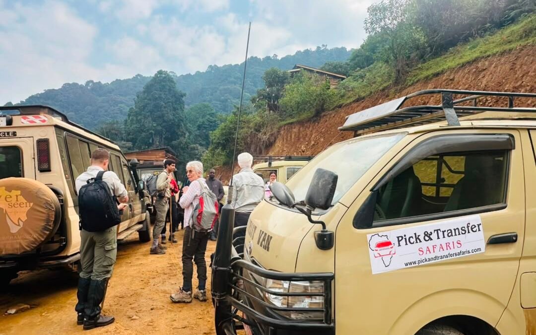 One Day Bwindi Gorilla Trek Starting from Kigali