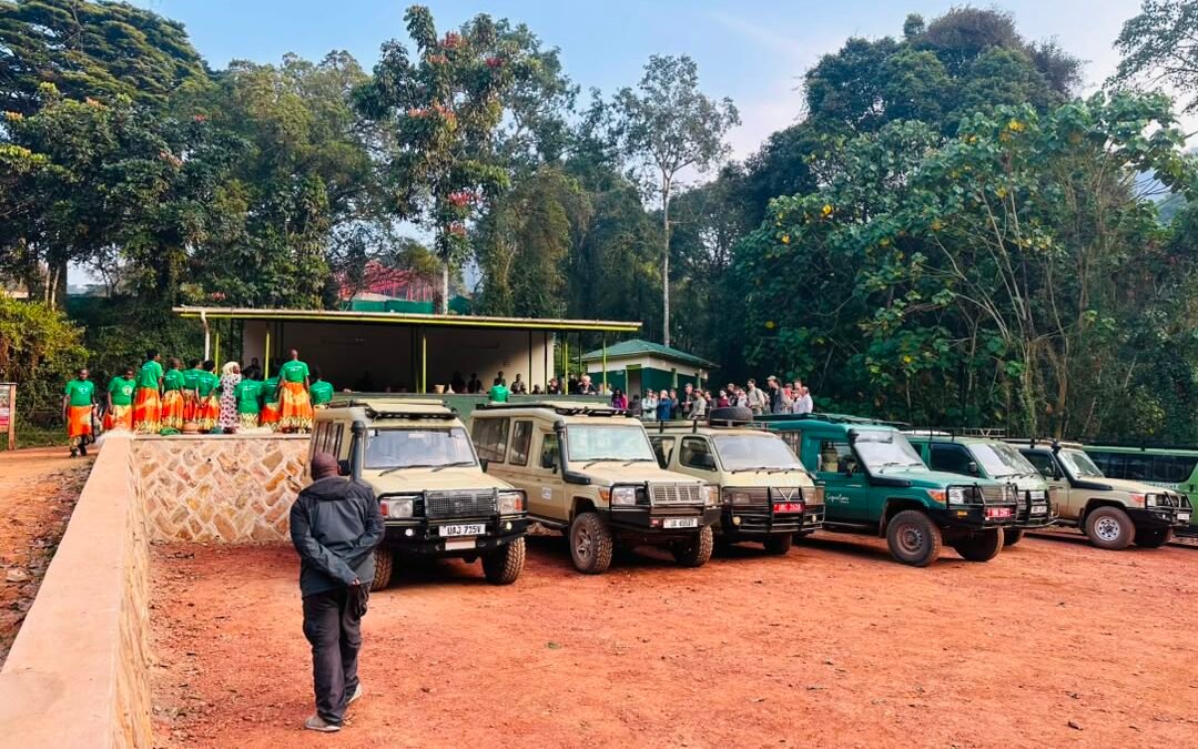 Trek gorillas and drive back to Kigali one day