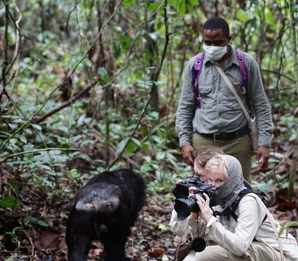 What to do after gorilla tour in Bwindi