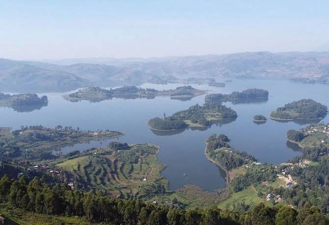 What to do after gorilla tour in Bwindi