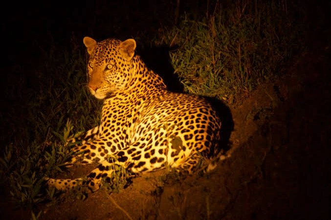 Astro Tourism in Africa