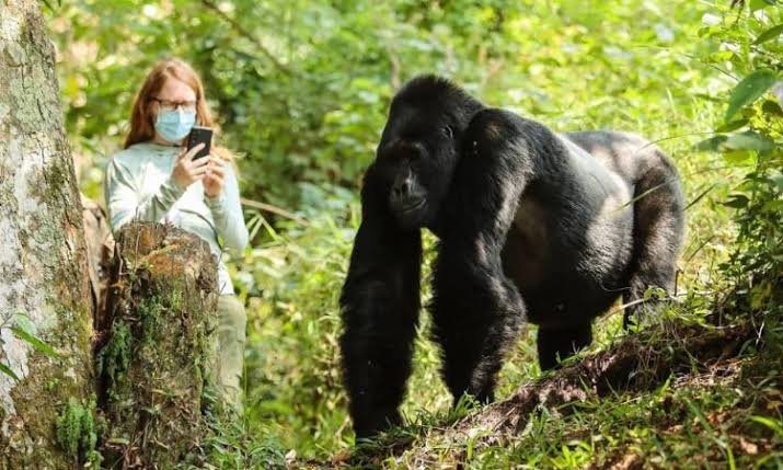 Uganda Tours Beginning from Kigali