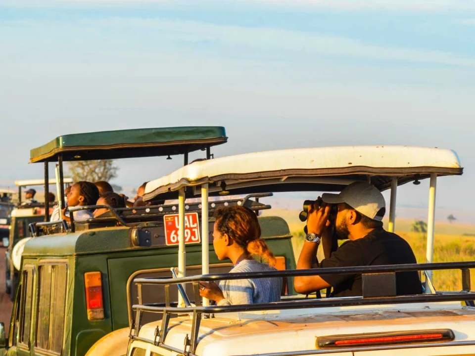 Uganda Safari for Vegetarian Tourists