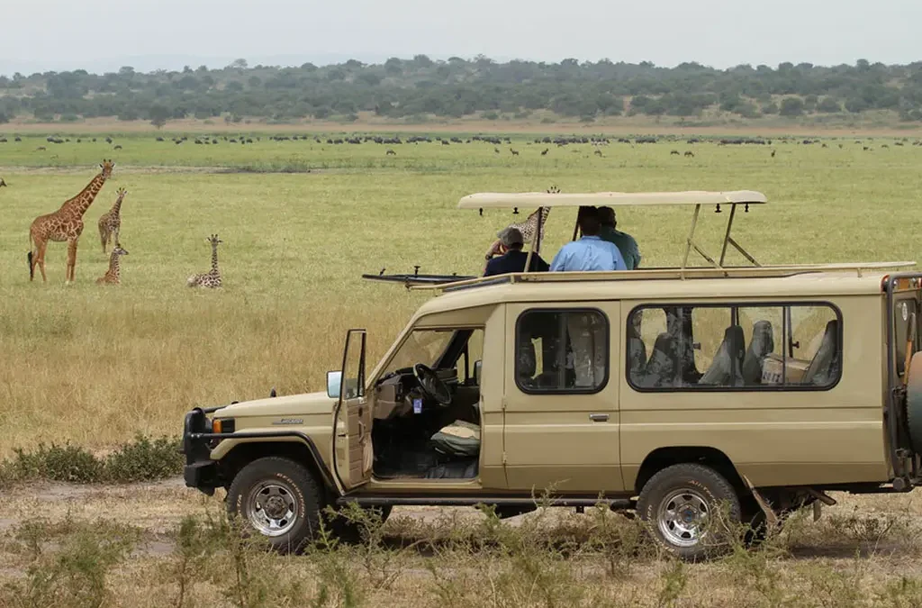 3-Day Rwanda Safari Itinerary