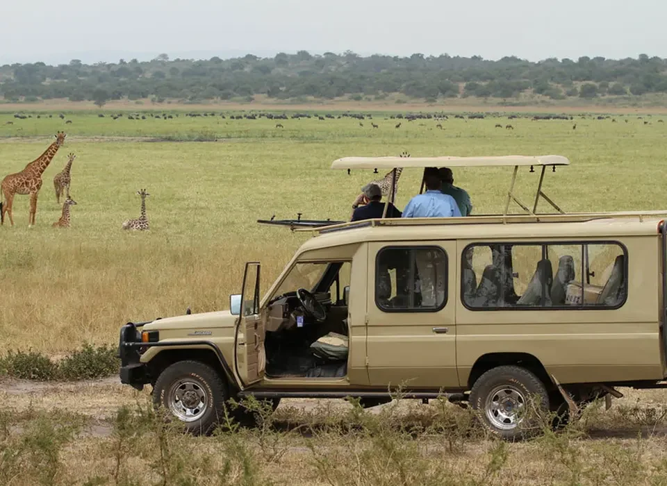 3-Day Rwanda Safari Itinerary