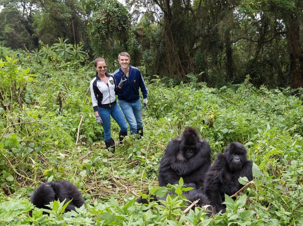 One day Uganda Gorilla Safari Starting from Kigali