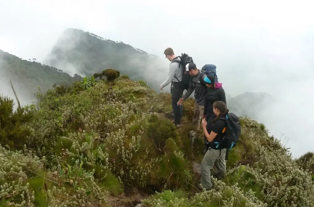 Kigali to Gorilla Trekking in One Day